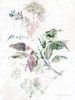 Boho Verbena Botanical    Poster Print by Bluebird Barn Bluebird Barn - Item # VARPDXBLUE139