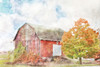 Autumn Maple by the Barn Poster Print by Bluebird Barn Bluebird Barn - Item # VARPDXBLUE233