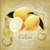 Vintage Lemons Citron Poster Print by Bluebird Barn Bluebird Barn - Item # VARPDXBLUE243