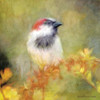 Backyard Bird in Autumn Poster Print by Bluebird Barn Bluebird Barn - Item # VARPDXBLUE250