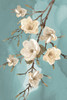 Magnolia III Poster Print by Bluebird Barn Bluebird Barn - Item # VARPDXBLUE279