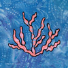 Whimsy Coastal Conch Coral Poster Print by Bluebird Barn Bluebird Barn - Item # VARPDXBLUE315