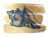 Brushed Gold Seashell Poster Print by Bluebird Barn Bluebird Barn - Item # VARPDXBLUE341
