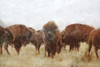 Buffalo Poster Print by Bluebird Barn Bluebird Barn - Item # VARPDXBLUE368