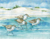 Sandy Sandpipers I Poster Print by Paul Brent - Item # VARPDXBNT1440
