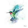 Arianna Hummingbird II Poster Print by Paul Brent - Item # VARPDXBNT1452