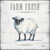Farmhouse Fresh IV Poster Print by Paul Brent - Item # VARPDXBNT1460