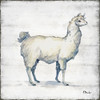 Farmhouse Llama I Poster Print by Paul Brent - Item # VARPDXBNT1461
