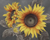 We are the sun III Poster Print by Marianne Broome - Item # VARPDXBR036A