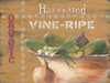 Vine Ripe Poster Print by Pam Britton - Item # VARPDXBR393