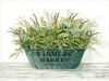 Farmers Market Poster Print by Cindy Jacobs - Item # VARPDXCIN1103