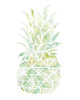 Pineapple Poster Print by Cindy Jacobs - Item # VARPDXCIN1385