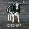 Cow Poster Print by Cindy Jacobs