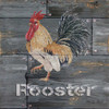 Rooster Poster Print by Cindy Jacobs