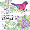 Enjoy Little Things Poster Print by Cindy Jacobs - Item # VARPDXCIN1583