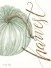 Harvest Pumpkin Poster Print by Cindy Jacobs - Item # VARPDXCIN1643