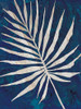 Palm Leaf Navy Poster Print by Cindy Jacobs - Item # VARPDXCIN1677