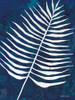 Navy Areca Leaf Poster Print by Cindy Jacobs - Item # VARPDXCIN1711