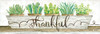 Thankful Succulent Pots Poster Print by Cindy Jacobs - Item # VARPDXCIN409