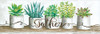 Gather Succulent Pots Poster Print by Cindy Jacobs - Item # VARPDXCIN412