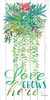 Love Grows Here Poster Print by Cindy Jacobs - Item # VARPDXCIN585