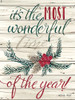 The Most Wonderful Time Poster Print by Cindy Jacobs
