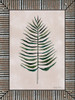 Areca Leaf  Poster Print by Cindy Jacobs - Item # VARPDXCIN674