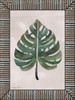 Monstera Leaf  Poster Print by Cindy Jacobs