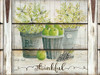 Eucalyptus - Thankful Poster Print by Cindy Jacobs - Item # VARPDXCIN747