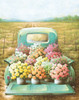 Flowers for Sale Poster Print by Dee Dee Dee Dee - Item # VARPDXDD1628A