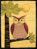 Owl Poster Print by Dan DiPaolo - Item # VARPDXDDPRC503