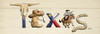 Texas Sign Poster Print by Diane Stimson - Item # VARPDXDSPL239A1