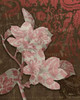 Magnolia Damask Poster Print by Diane Stimson - Item # VARPDXDSRC215B