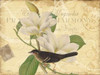 Bird Magnolia Poster Print by Diane Stimson - Item # VARPDXDSRC260B