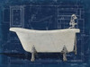 Bath Blues 1 Poster Print by Diane Stimson - Item # VARPDXDSRC277A