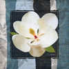 Magnolia Blues Poster Print by Diane Stimson - Item # VARPDXDSSQ225B