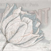 Saumur Fleur 2 Poster Print by Diane Stimson - Item # VARPDXDSSQ288B