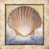 Shell Poster Print by Ed Wargo - Item # VARPDXED298