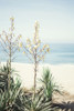 OnThe Edge II Poster Print by Elizabeth Urquhart - Item # VARPDXEURC002B