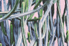 Pink Crush I Poster Print by Elizabeth Urquhart - Item # VARPDXEURC005B Pink Crush I Poster Print by Elizabeth Urquhart - Item # VARPDXEURC005B