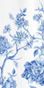 Oriental Blooms III  Poster Print by Eva Watts - Item # VARPDXEW338A