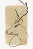 Antlers II   Poster Print by Eva Watts - Item # VARPDXEW393A