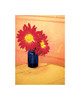 Blue Jar with Flowers Poster Print by Frontline Frontline - Item # VARPDXF101132