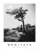 Meditate - Yoga Poster Print by Unknown Unknown - Item # VARPDXF102156