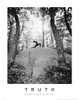 Truth - Yoga Poster Print by Unknown Unknown - Item # VARPDXF102157