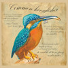 Common Kingfisher Poster Print by Kuco Kuco - Item # VARPDXFAF1335