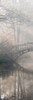 Bridge in the Mist I Poster Print by Anonymous Anonymous - Item # VARPDXFAF534
