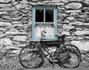Bicycle by Rural Cottage Poster Print by Anonymous Anonymous - Item # VARPDXFAF856