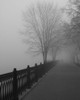 Promenade in the Mist Poster Print by Anonymous Anonymous - Item # VARPDXFAF94