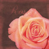 Rose Flower Poster Print by Lauren Gibbons - Item # VARPDXGLSQ019E